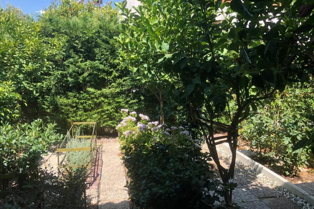 הוילה Mesolóngion Ανακαινισμενη Μονοκατοικια 125 Τμ Στο Κεντρο Με Κηπο מראה חיצוני תמונה